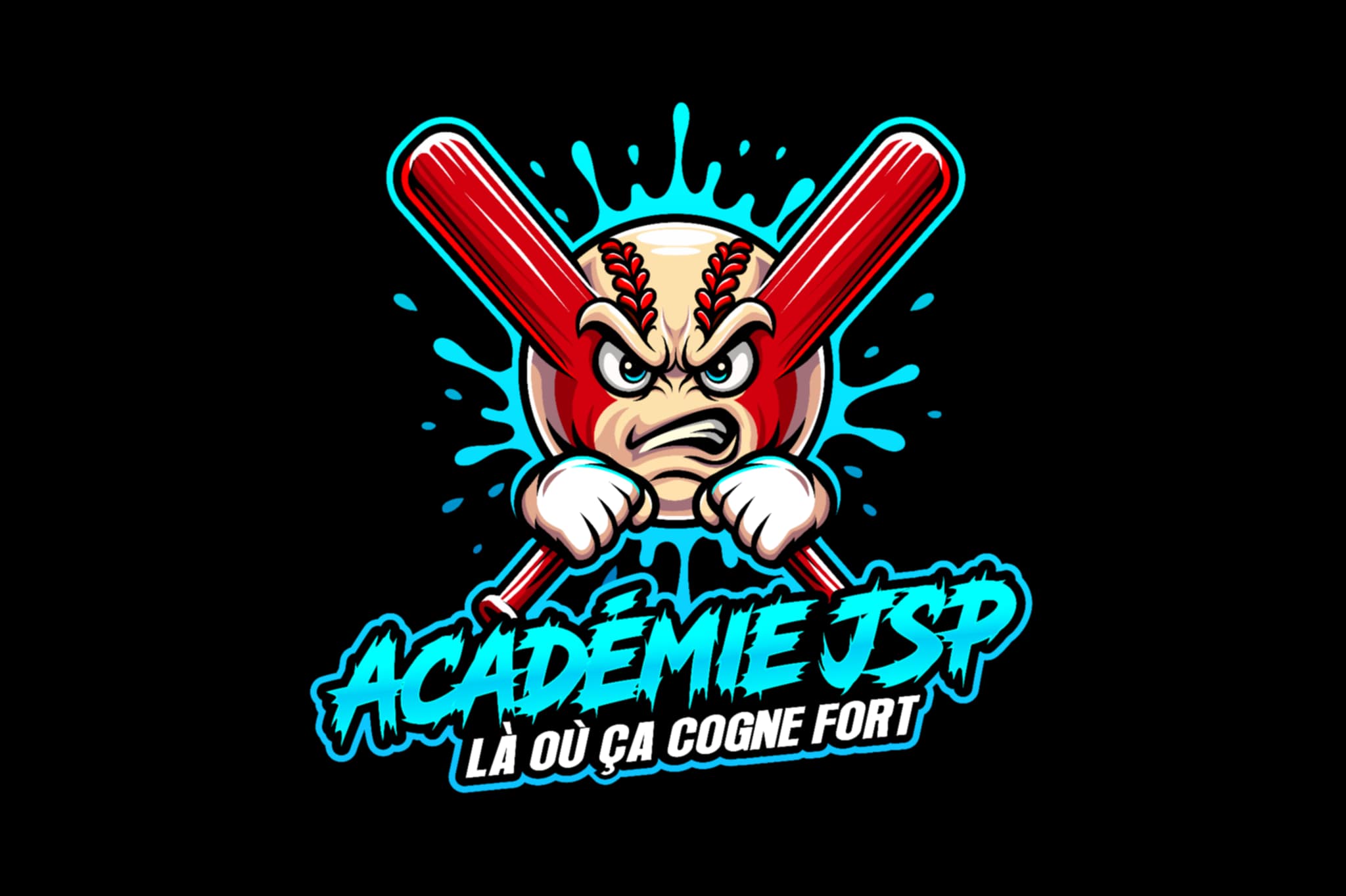 Académie JSP Logo